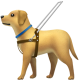 Собака-поводырь