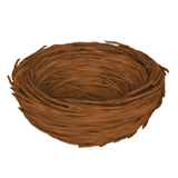 Пустое гнездо