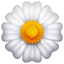 белый цветок эмоджи U+1F33C белый цветок эмоджи U+1F33C
