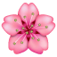 вишневый цветок эмоджи U+1F338